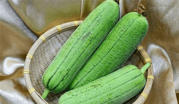 丝瓜配什么油 45cd9b1f764a4ac4b0194d095430211b.png