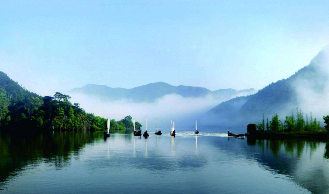 市区面积排名2020最_浙江最心酸的城市,面积最大资源最丰富,经济排名却