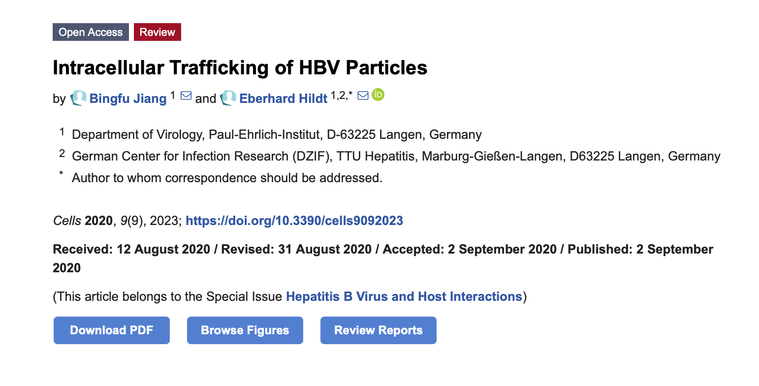 新药|乙肝在研新药干扰核衣壳，德国科学家研发，HBV颗粒细胞内转运