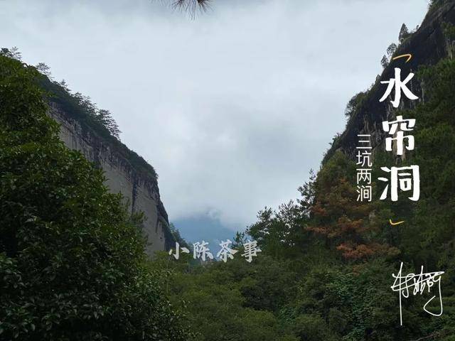 云南茶农人口_云南茶农采茶图