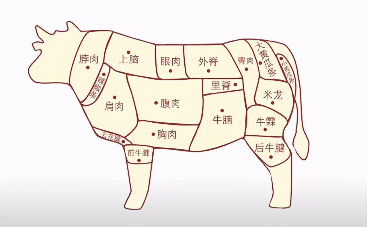 牛身上什么好吃（牛身上哪个部位的肉最好吃） - 搞机Pro网
