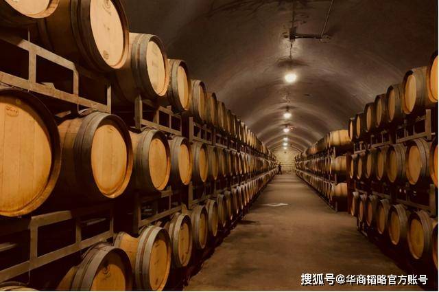 中国葡萄酒太惨！行业年赚不及茅台7天，张裕市