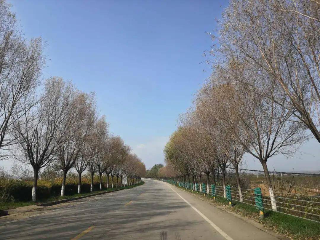小丘村人口_铜川小丘镇坳底村