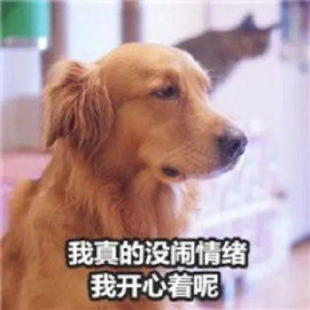 05d83a6057a24e249403c25632f32924.jpeg