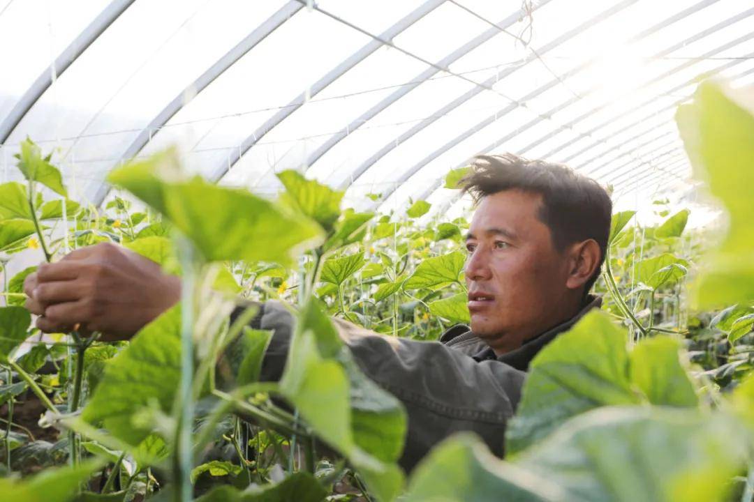 拉哈镇有人口_拉哈镇(3)