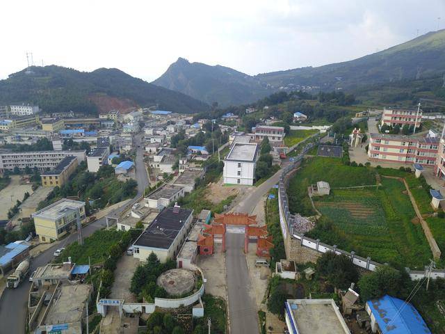 梨树坪村