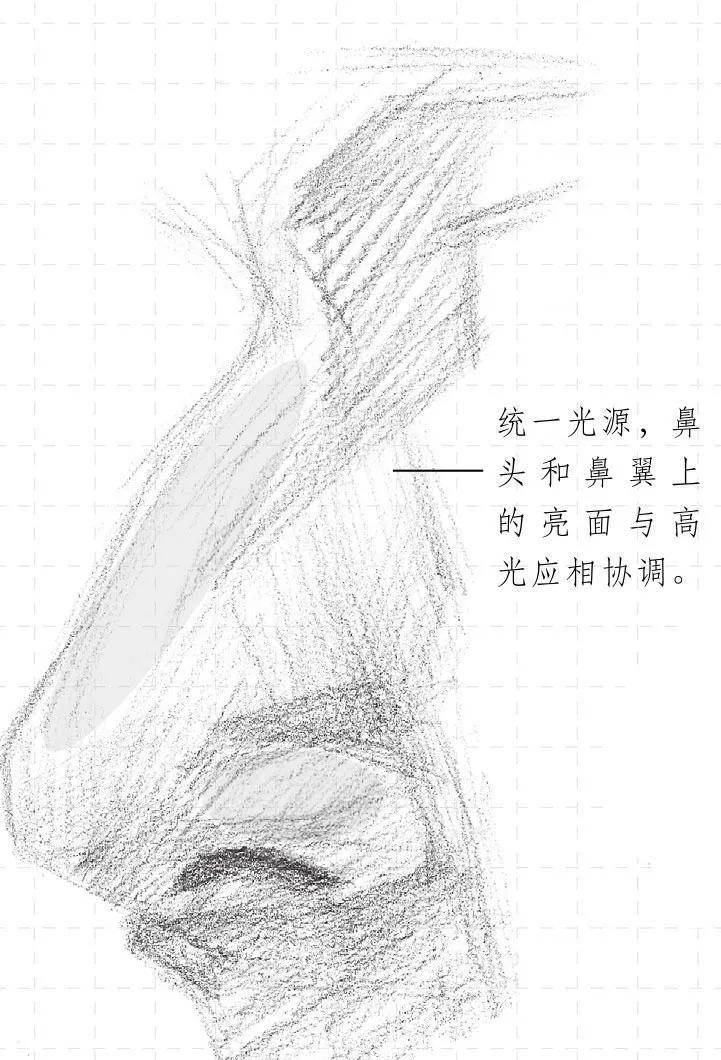 【推荐】人物素描鼻子怎么画?素描鼻子的画法步骤图