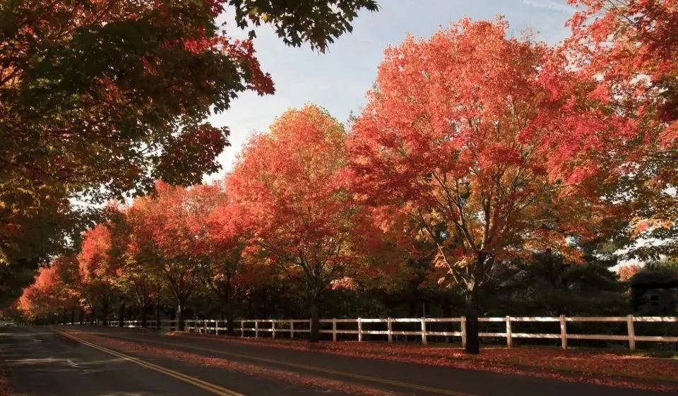 产品不达标率高达83.6%，护眼灯抽查引照明业反思-家电圈官网