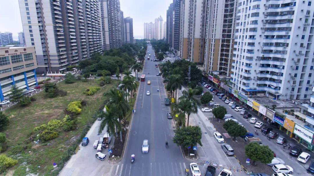 洛溪岛交通改造迅猛推进黄金时代正到来