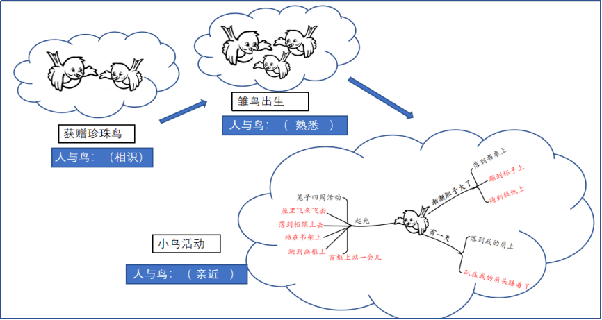 (2)《珍珠鸟》一课中,信赖创造的