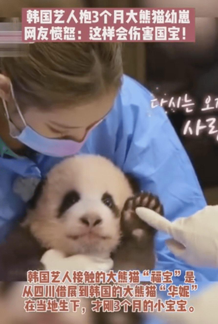熊猫人口罩_熊猫人表情包戴口罩(2)