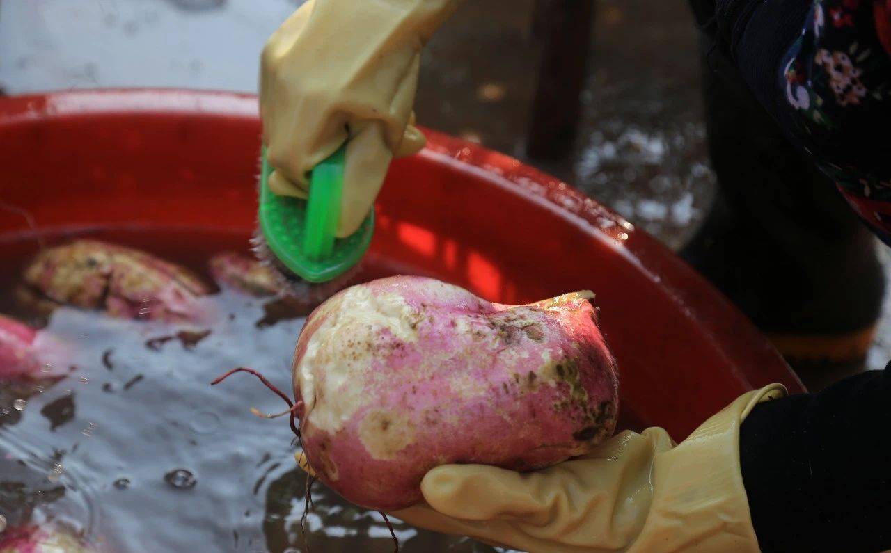 红薯淀粉农家手工制作红薯粉全过程