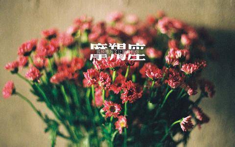 8d546afba3174c1aa062bc6bc1446cae.jpeg