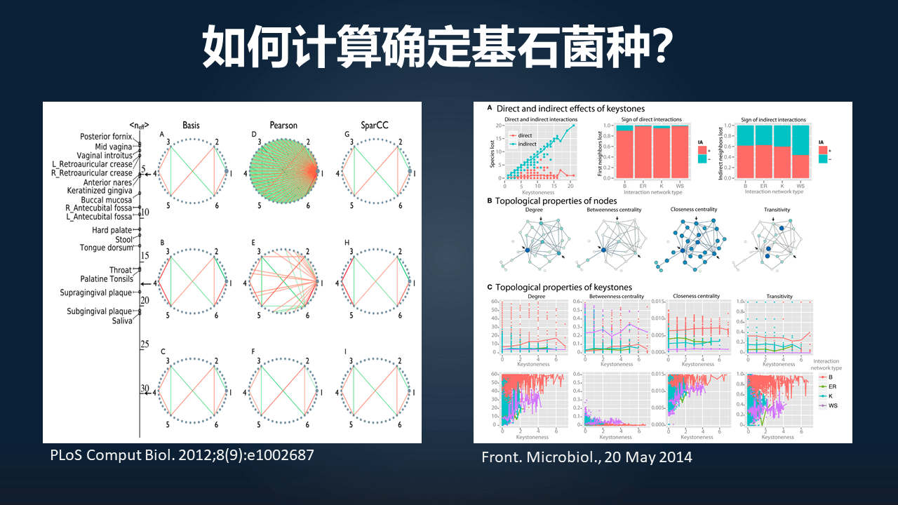 朱瑞新|朱瑞新：12分钟讲透如何迈向因果并精准干预菌群