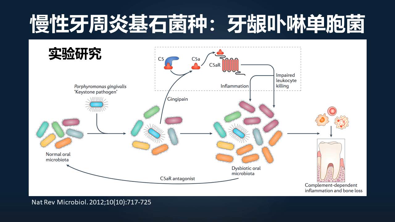 朱瑞新|朱瑞新：12分钟讲透如何迈向因果并精准干预菌群