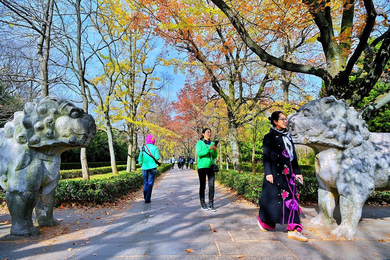 【实拍】南京最美600米，浓缩整座金陵古城的秋色，一步一景美爆了