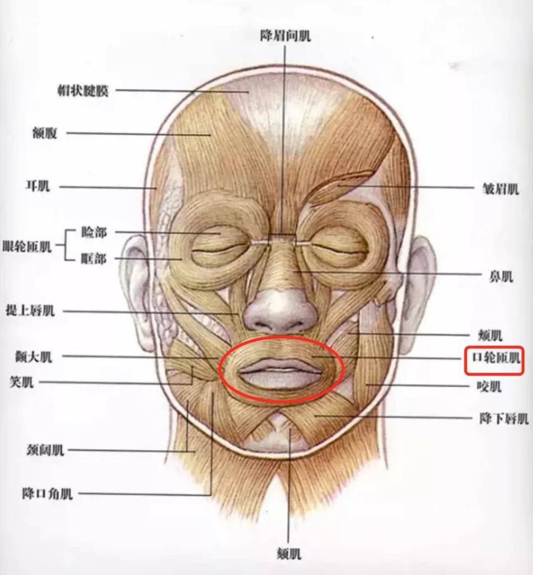 蔡明|28岁就蔡明化，热巴的脸这个月又陷颜值低谷...