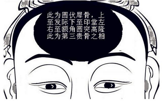 也就是说,朱元璋有个不同于常人的头骨,所谓的奇骨贯顶,就是:"朝天伏