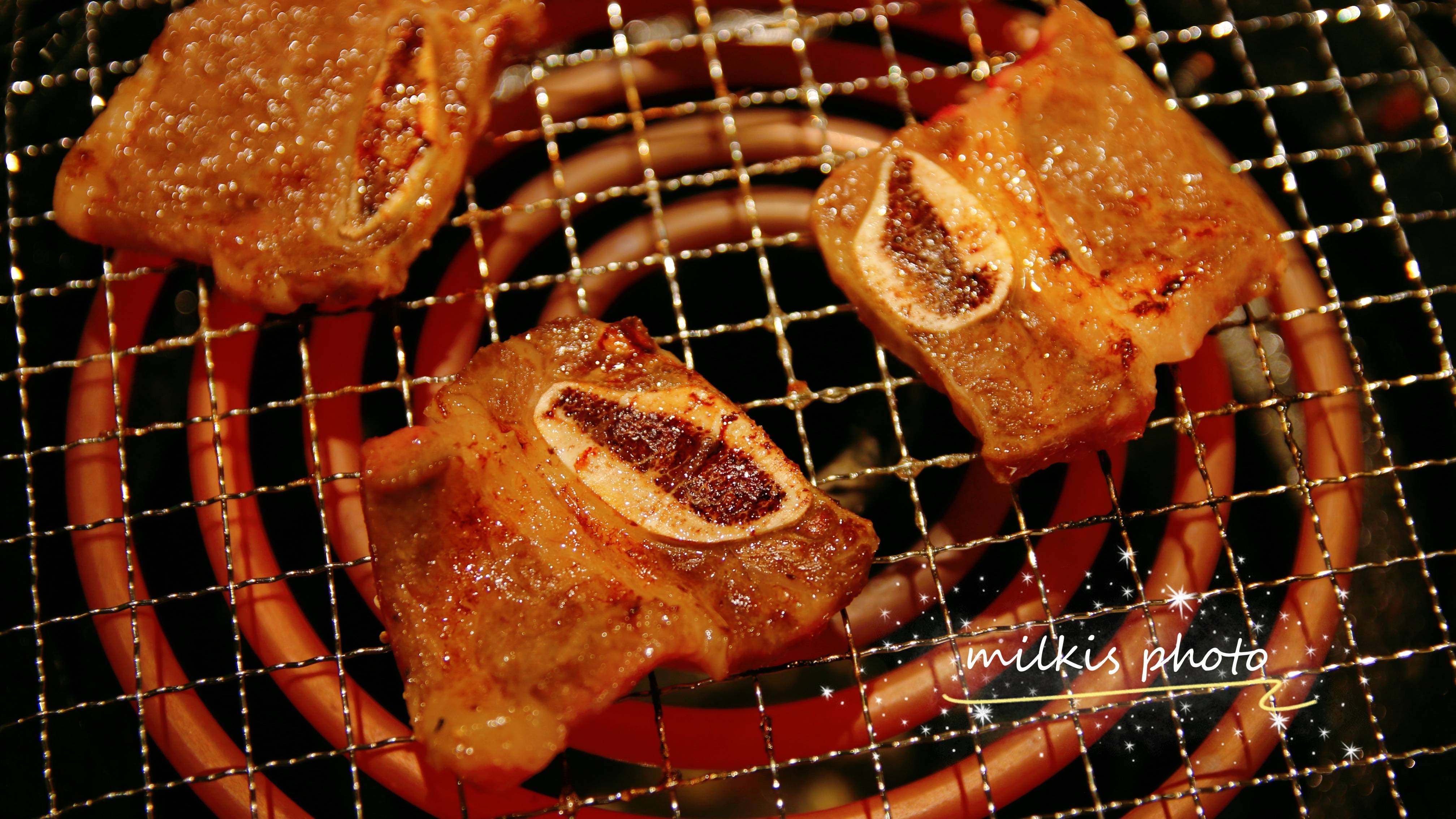 人均肉食_肉食动物(3)