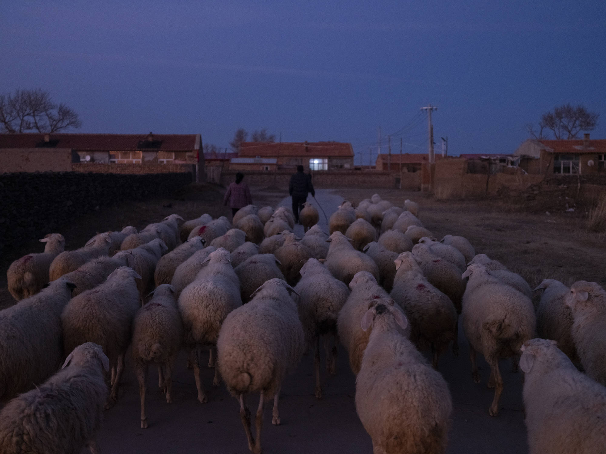 瑜伽进村：八旬老太徒手倒立