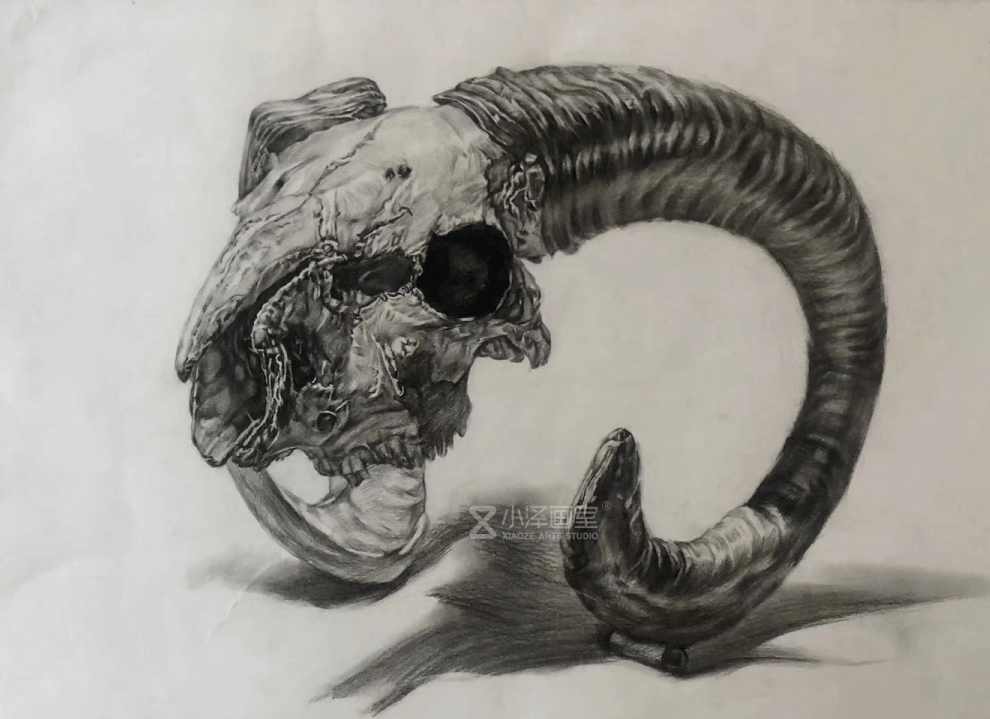 画室|【北京小泽画室】郑州小泽画室寒假班——成全你所有的不甘心