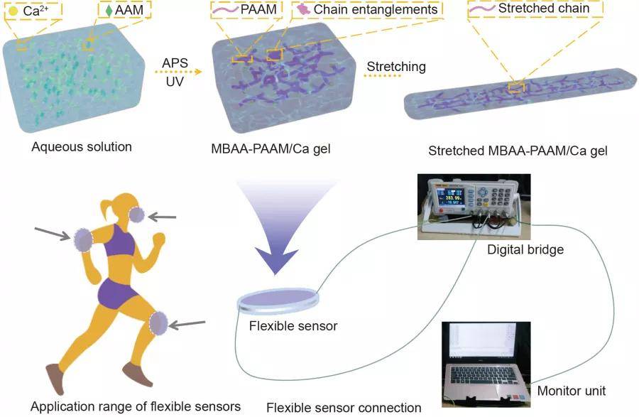燕山大学易制备高性能的可穿戴水凝胶应变传感器