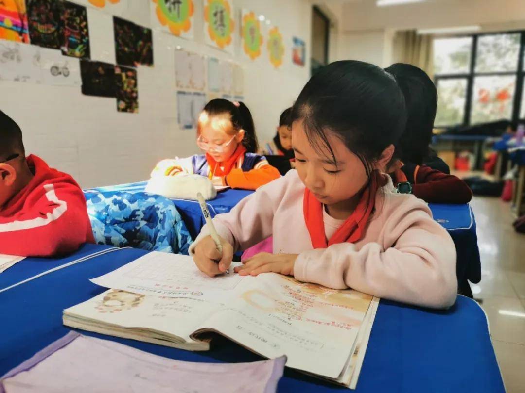 比赛|陕西师范大学奥林匹克花园学校小学部举行高段硬笔书写大赛