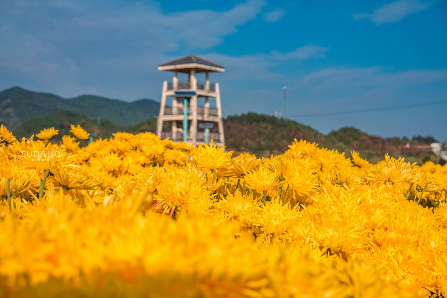 汤阴七里铺村人口_南昌七里村安置房(2)