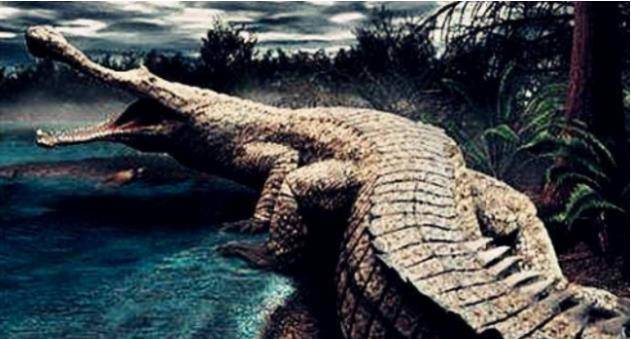 泰坦巨蟒有多长最长的 6d100a4e83214faca54c91867ad477cd.jpeg