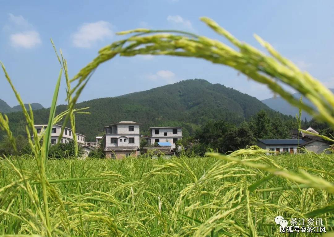 恭城农村人口_恭城油茶图片