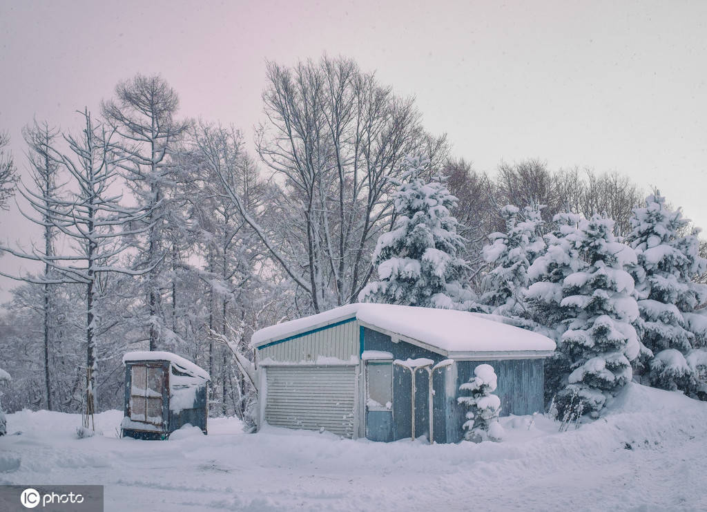 童话里的风景!日本北海道札幌小樽自然雪景