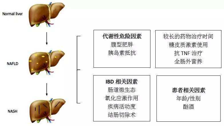 日本|乙肝HCC靶点潜力，日本科学家发现，miRNA调参多基因表达