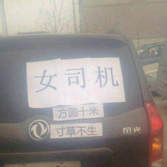 搞笑GIF趣图：周一上班上学时的熊样。周五下班放学时的鸟样。