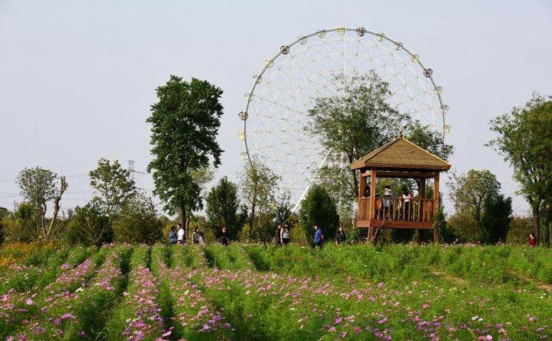 鄢陵 gdp_鄢陵花博园(3)