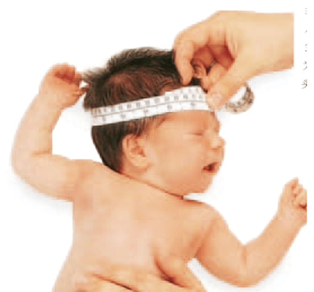 高个|自身携带“高个”基因,中了的父母偷着乐吧这种“头型”的孩子