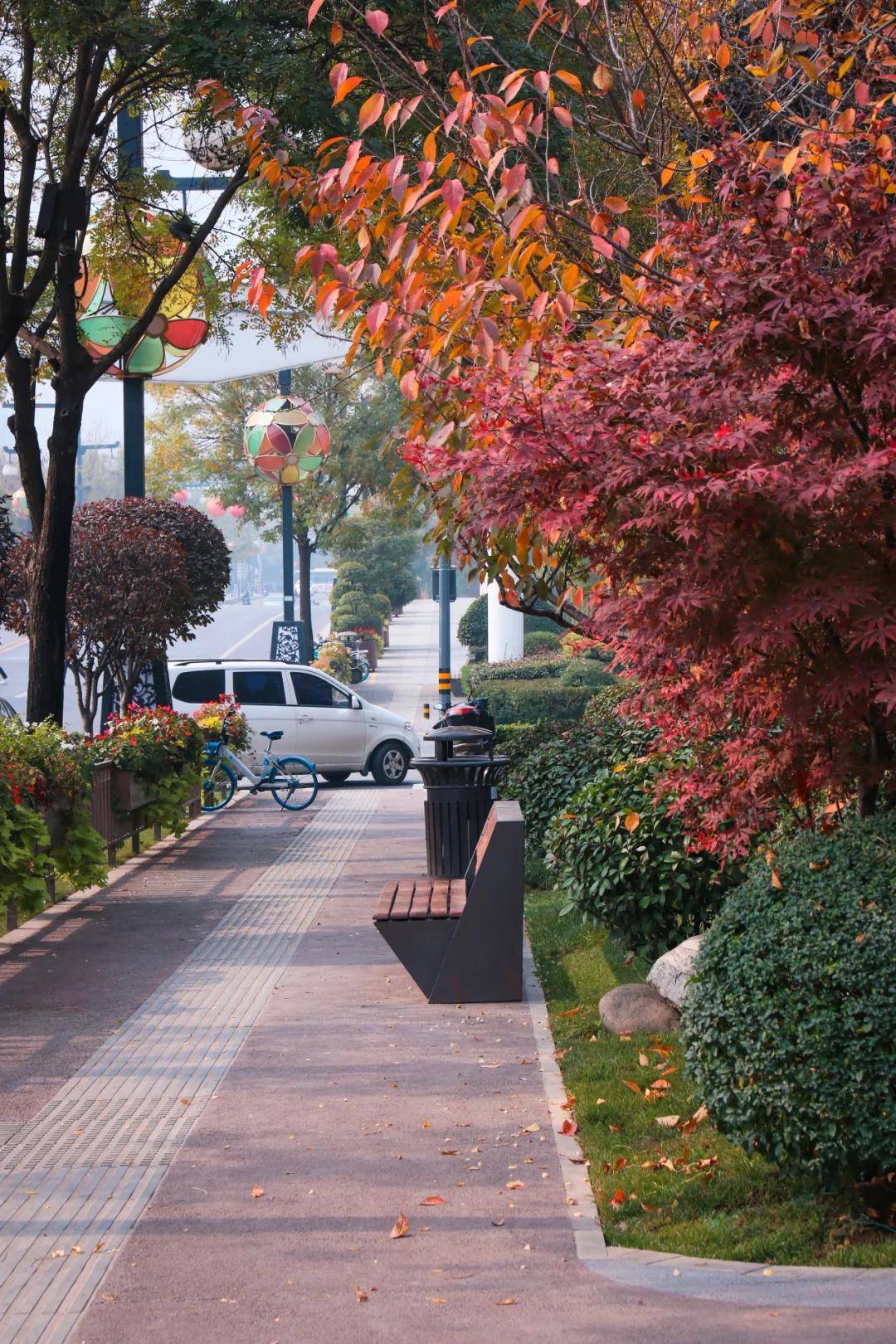 试行「缓扫落叶」之后,我遇见了西安最美的秋天