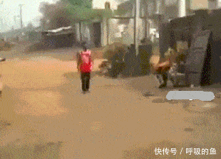 搞笑gif:实力打脸;驾校学员神操作.