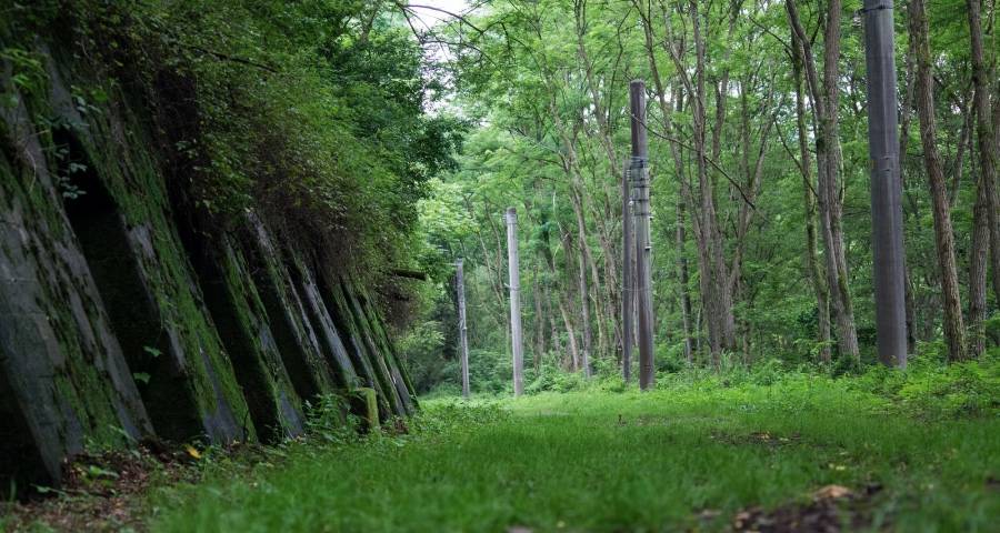 家电双11告别狂热,海尔转场景海信战高端美的借政策巨头谋来年-家电圈官网