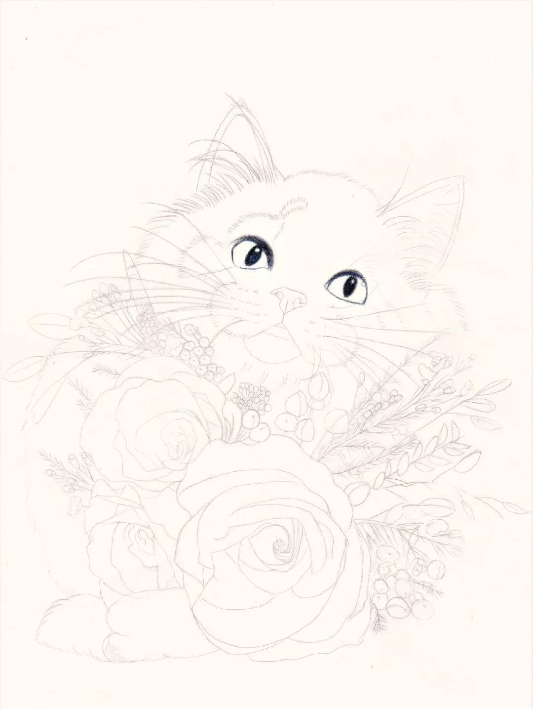 彩铅画的画法步骤及关键词|彩铅画技法大全 超详细(附