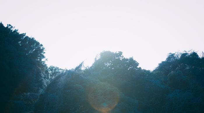 小霸王破产的虚与实，意外敲响家电品牌租赁的危与机-家电圈官网