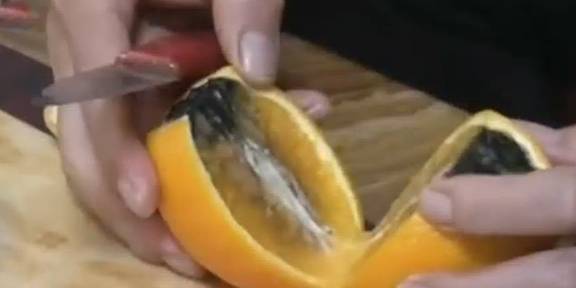怎么切苹果和橘子 a14f5ed504ff43f1b31fa4e8a92ff0ba.jpeg