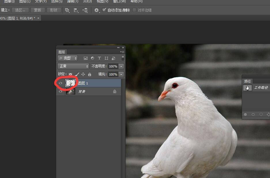 ps钢笔工具抠图教程photoshop钢笔工具使用方法