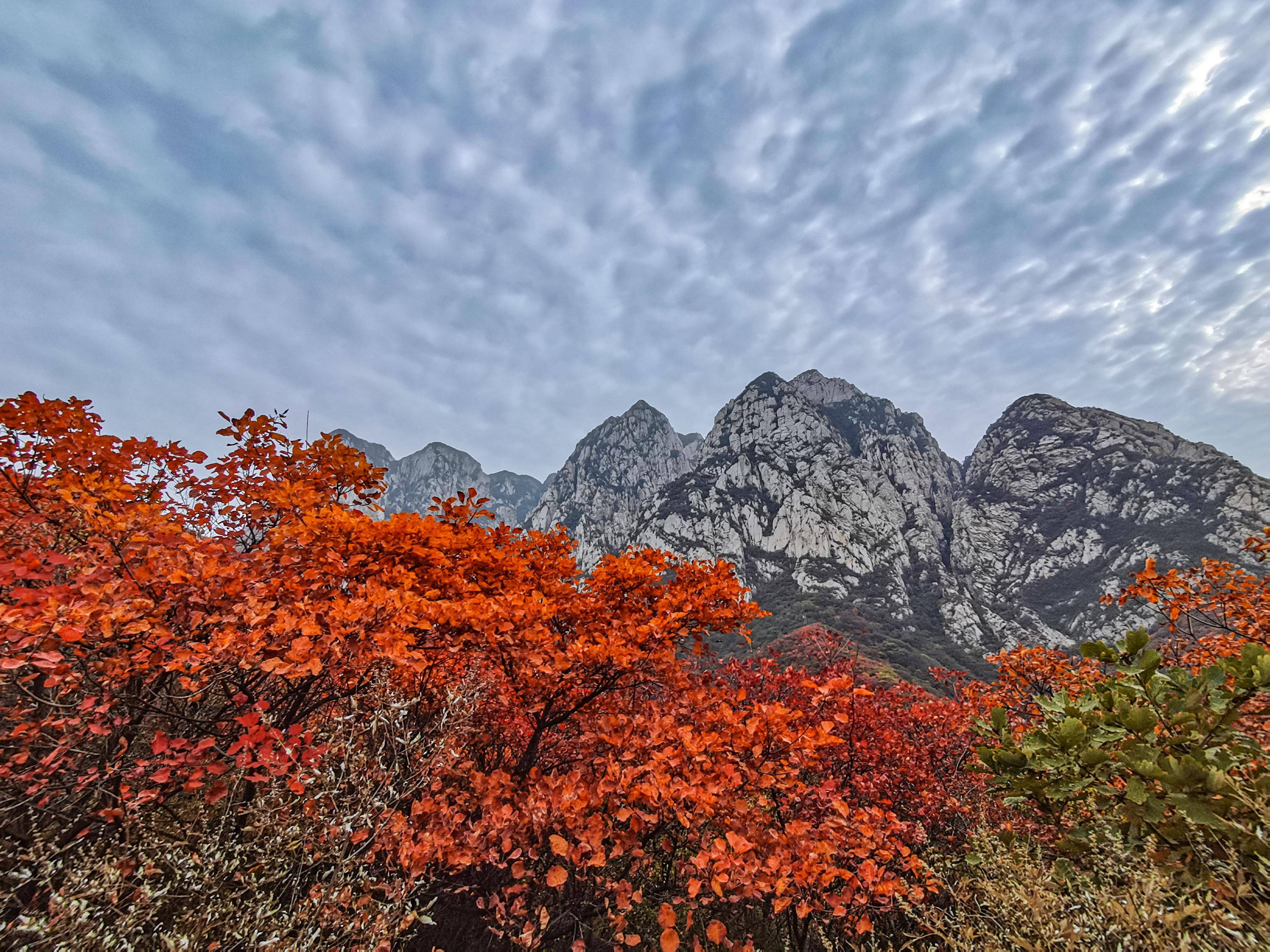 郑州赏红叶之徒步穿越嵩山五花坪