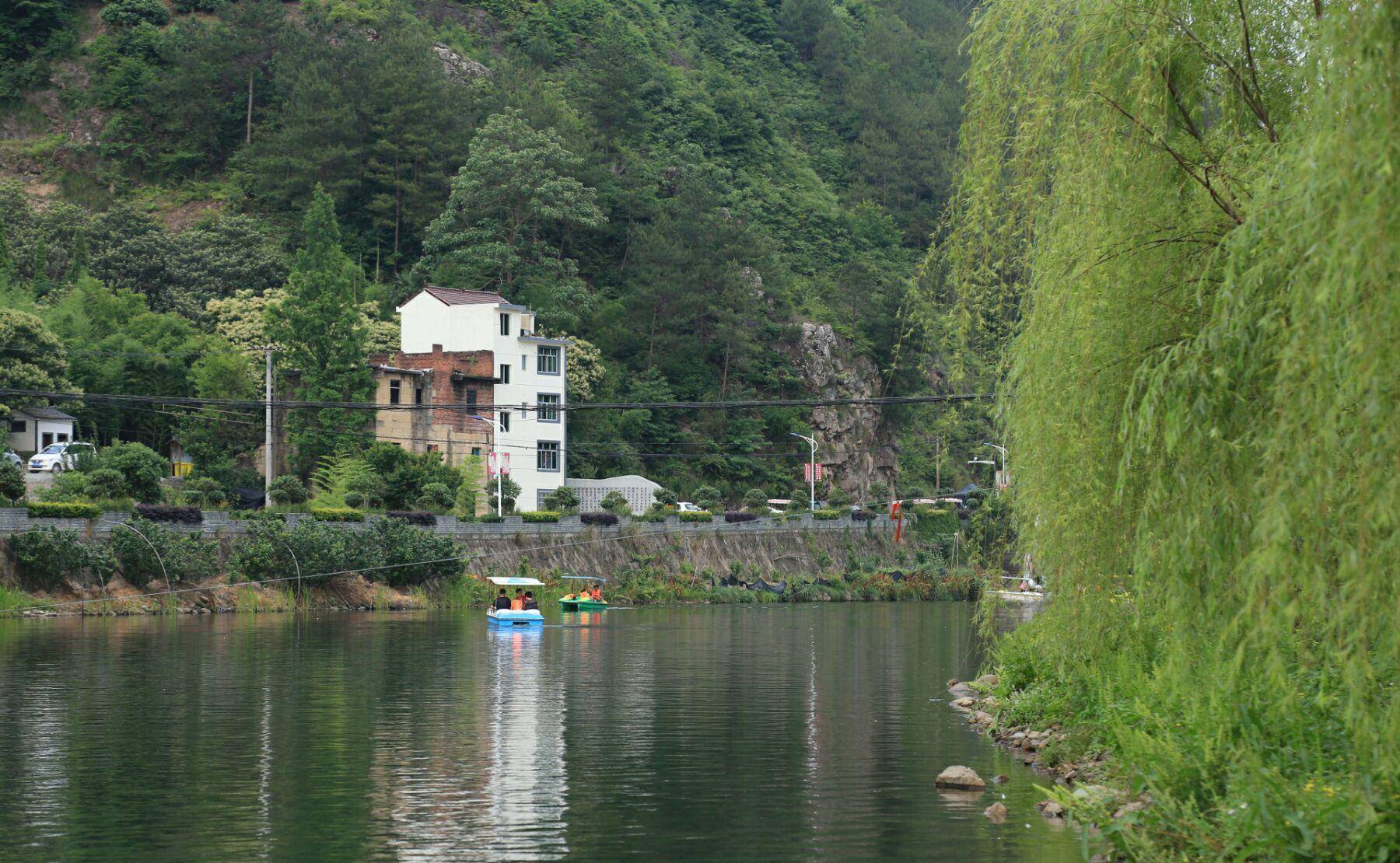 辛岸村人口_辛村精市(2)
