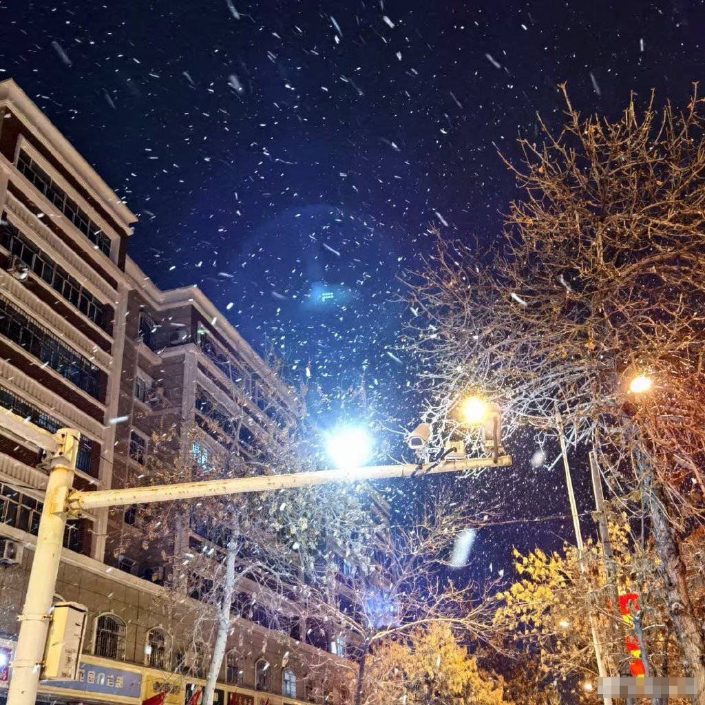 乌鲁木齐的雪如约而至.雪雪雪雪来了!