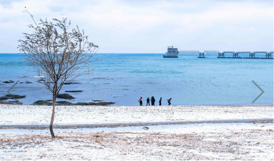 真相|2020年医科大学录取分“暴涨”？真相：其实我们“跌得”更多！