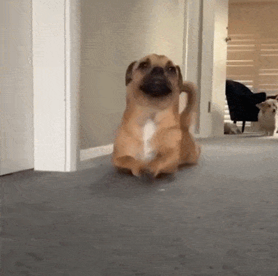 搞笑gif段子:下次别这样玩了如果被老公发现你说尴尬不尴尬