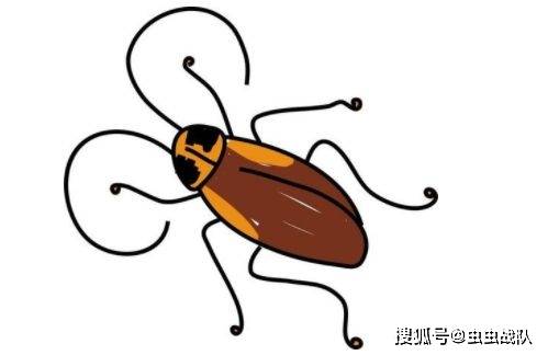 一只蚊子绑在了蜘蛛网上猜成语_国画蜘蛛网上的蚊子(2)