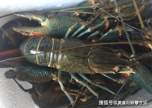 3f52029b4a1648dca3f1fca8c6dfcb7c.png