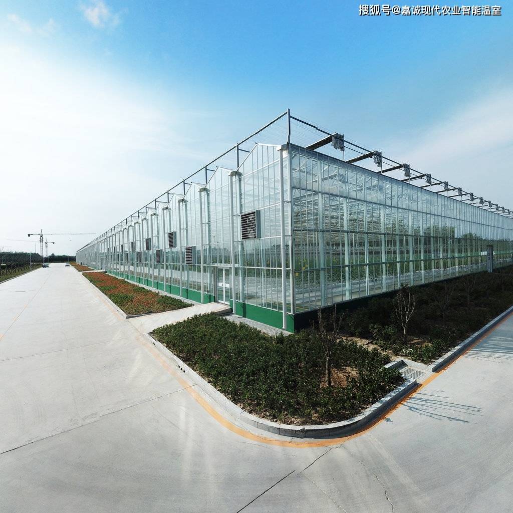 高效种植智能化温室大棚如何实现高产?看这座透明玻璃